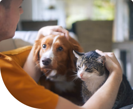 man petting dog and cat