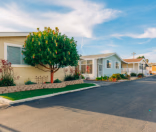 row of well manicured mobile homes
