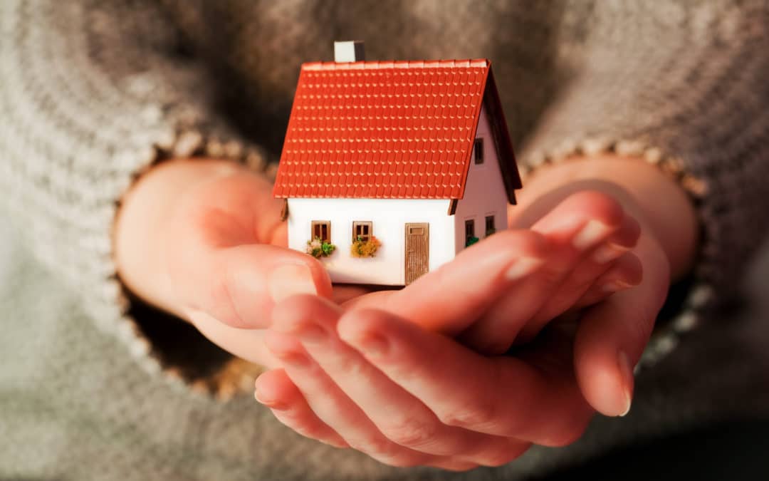 hands holding a house